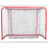 Florball Goals